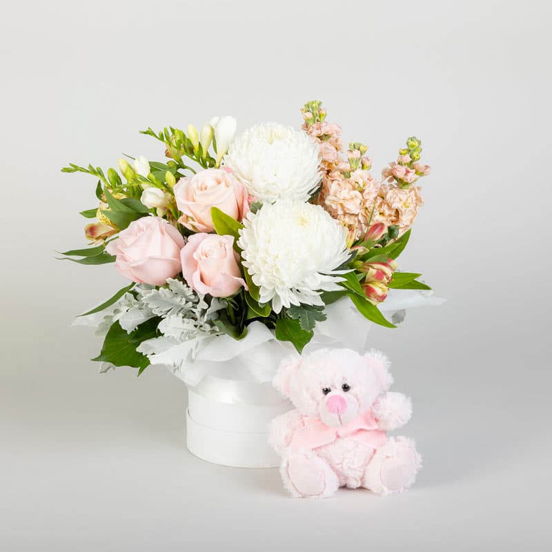 Newborn Baby Girl