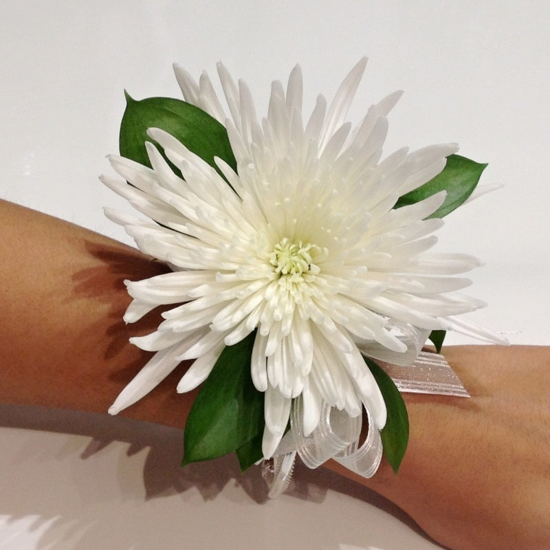 Sienna Flowers Of Adelaide